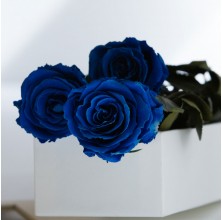 Royal Sapphire - 3 Stems In Bouquet